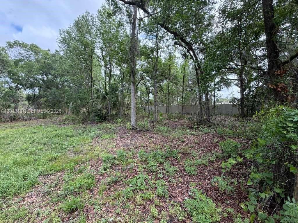 0 BAILEY RD, Other City - In The State Of Florida, FL 33860 — zdjęcie 4