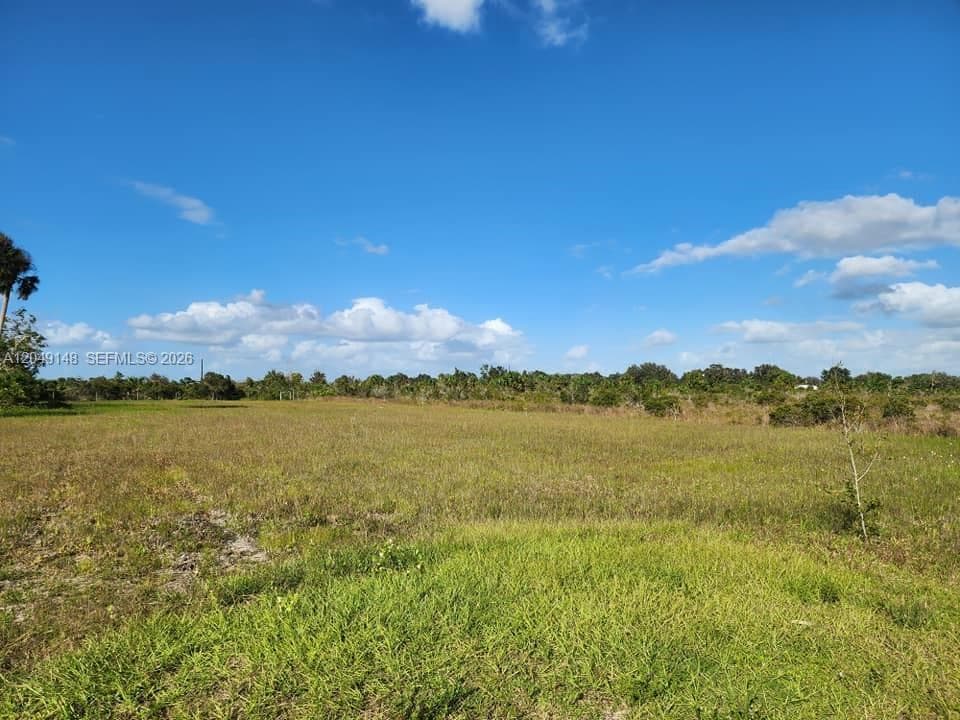 18717 NW 258 st, Okeechobee, FL 34972 — zdjęcie 2