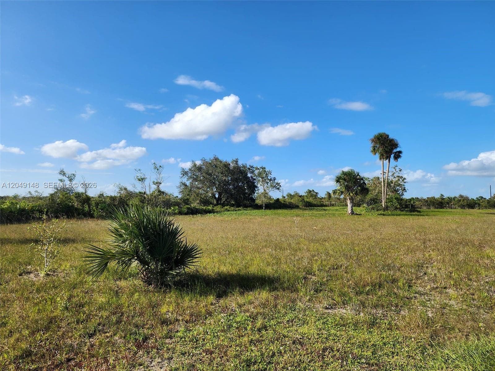 18717 NW 258 st, Okeechobee, FL 34972 — zdjęcie 5