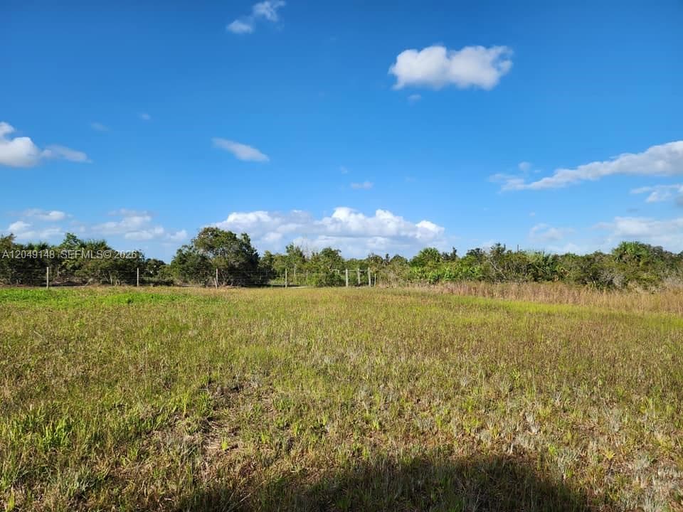 18717 NW 258 st, Okeechobee, FL 34972 — zdjęcie 4