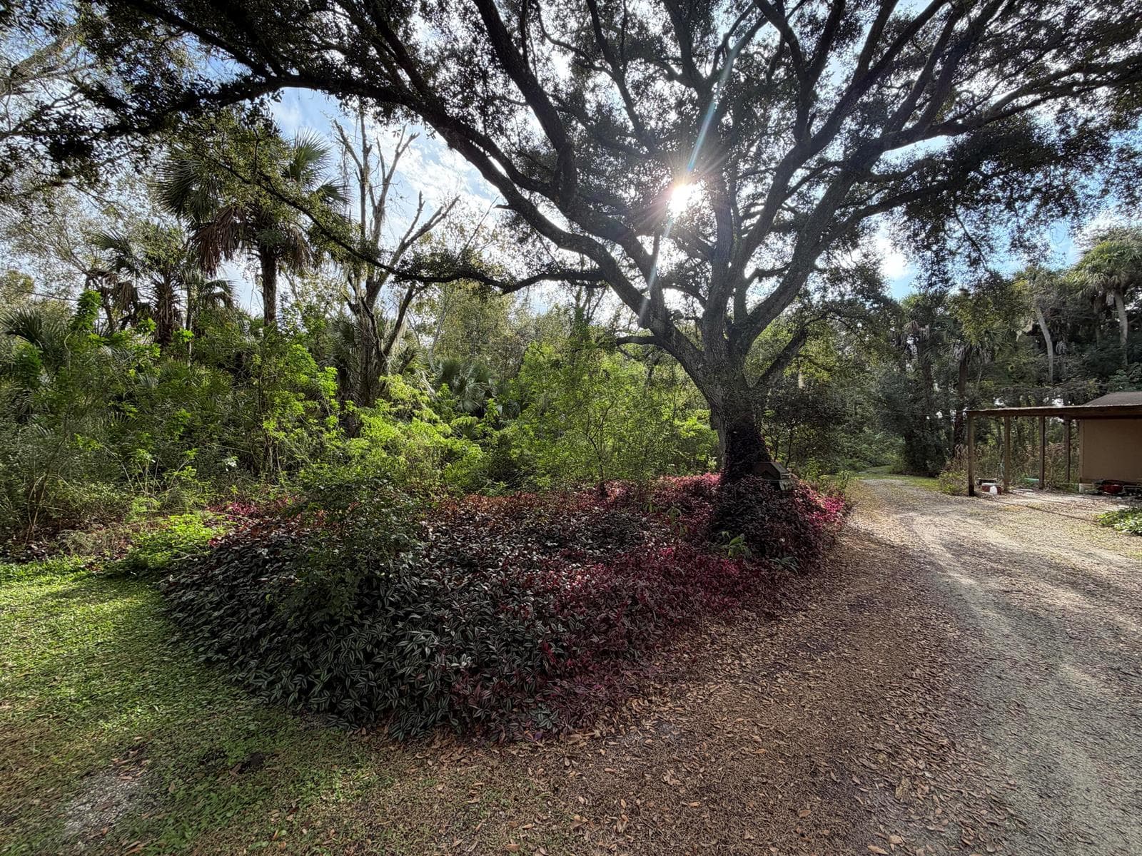 535 SE 80th Avenue, Okeechobee, FL 34974 — zdjęcie 5