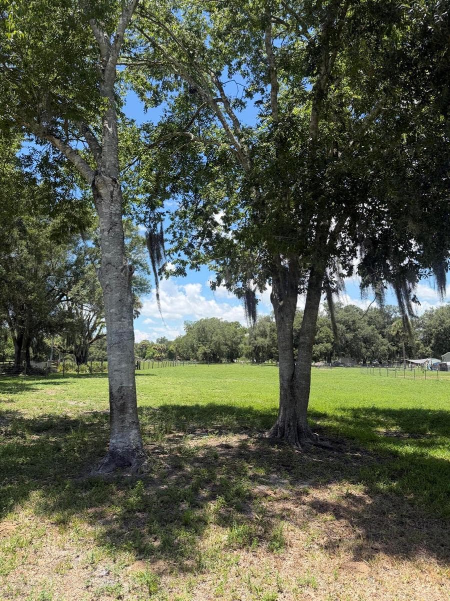 0 NE 28th Avenue, Okeechobee, FL 34972 — zdjęcie 3