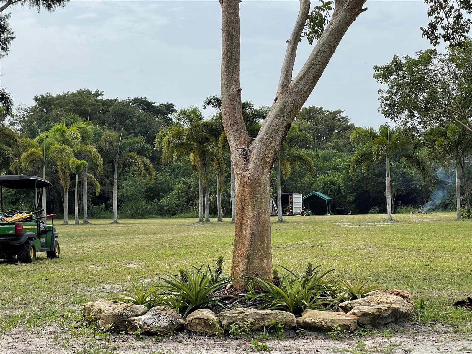 15600 SW Conners Highway, Okeechobee, FL 34974 — zdjęcie 3