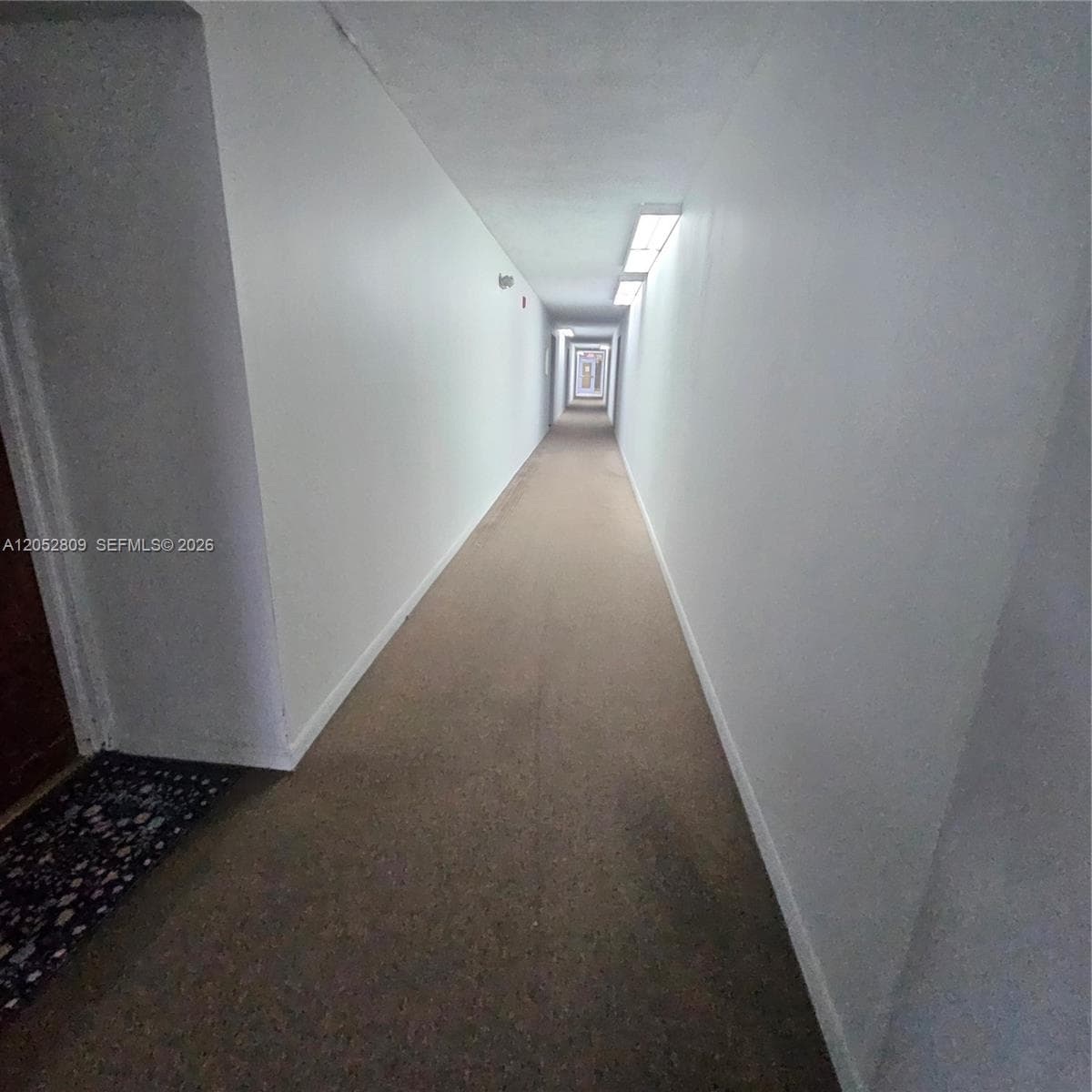 11790 SW 18th St # 519-3, Miami, FL 33175 — zdjęcie 5