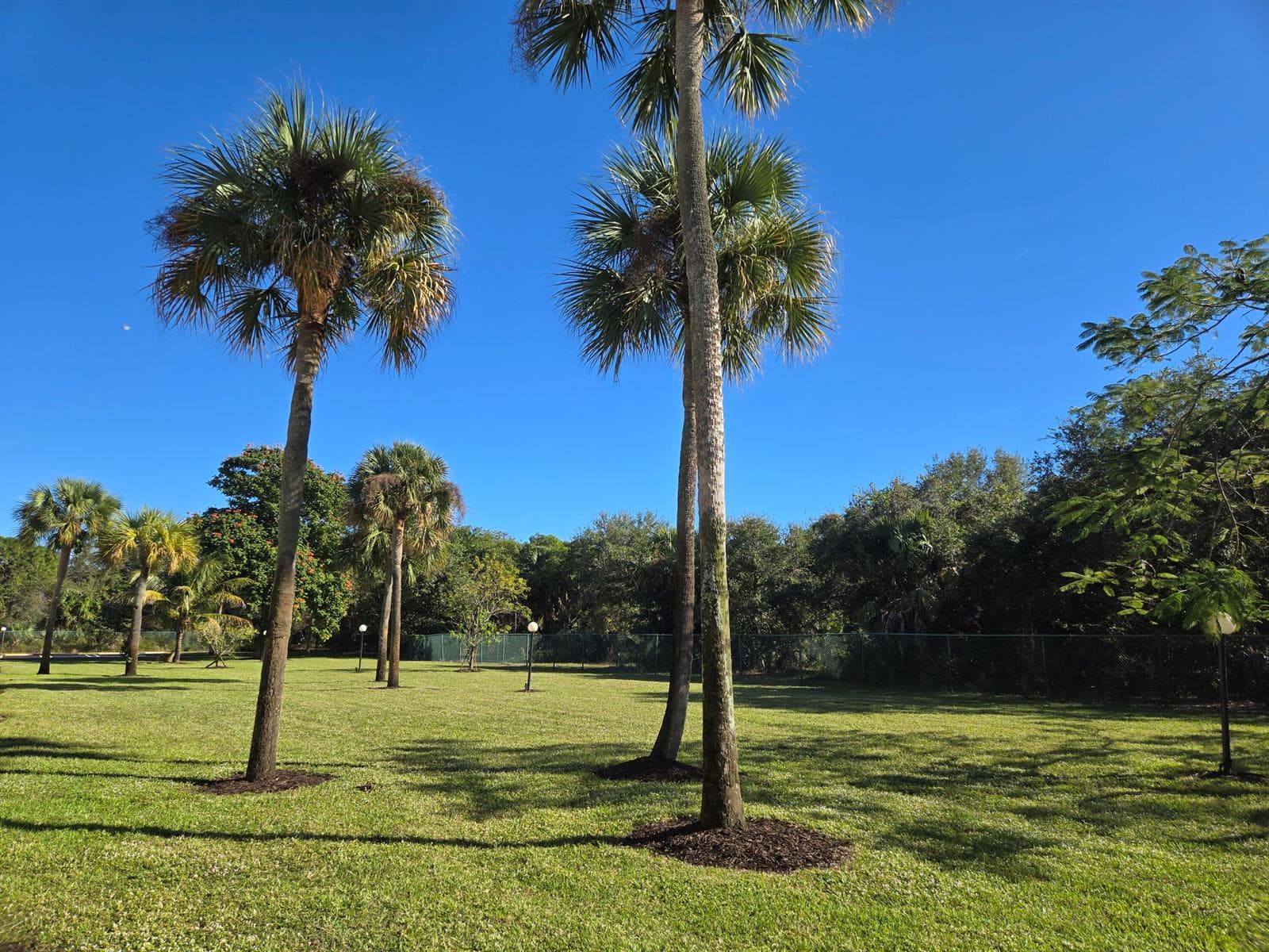 2975 SW 22nd Avenue # 1080, Delray Beach, FL 33445 — zdjęcie 5