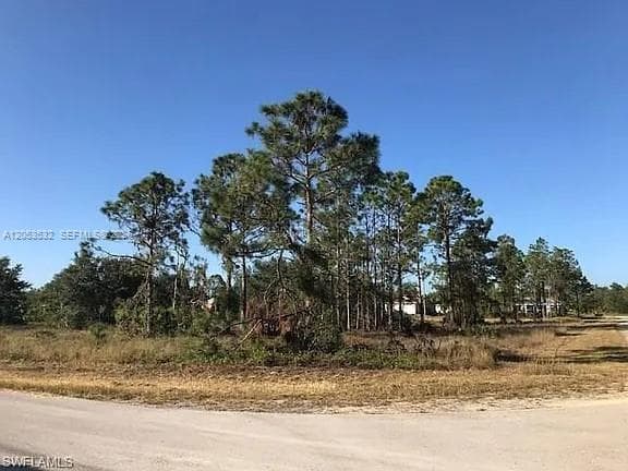726 S Gaylord Avenue, Lehigh Acres, FL 33974 — zdjęcie 3
