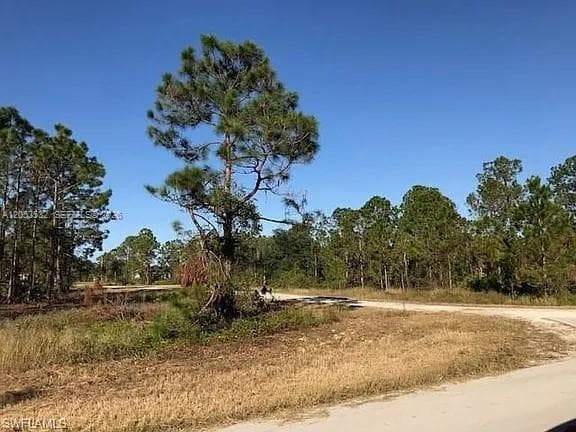 726 S Gaylord Avenue, Lehigh Acres, FL 33974 — zdjęcie 5