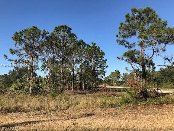 726 S Gaylord Avenue, Lehigh Acres, FL 33974 — zdjęcie 4