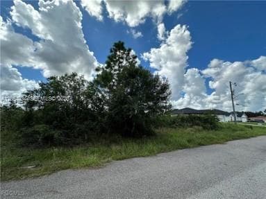 2905 W 55 STREET, Lehigh Acres, FL 33971 — zdjęcie 3
