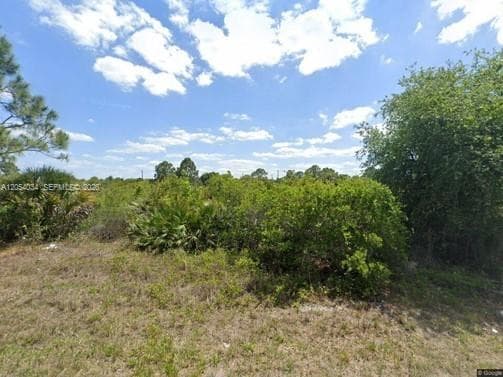 2905 W 55 STREET, Lehigh Acres, FL 33971 — zdjęcie 4