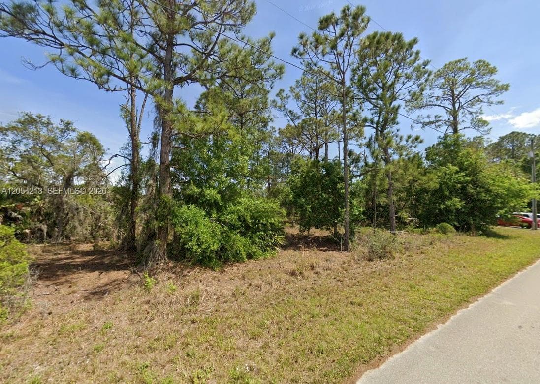 120 Enos Ave, Lake Placid, FL 33852 — zdjęcie 2