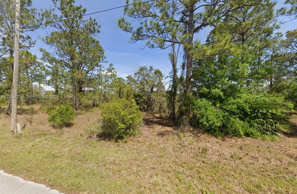 120 Enos Ave, Lake Placid, FL 33852 — zdjęcie 3