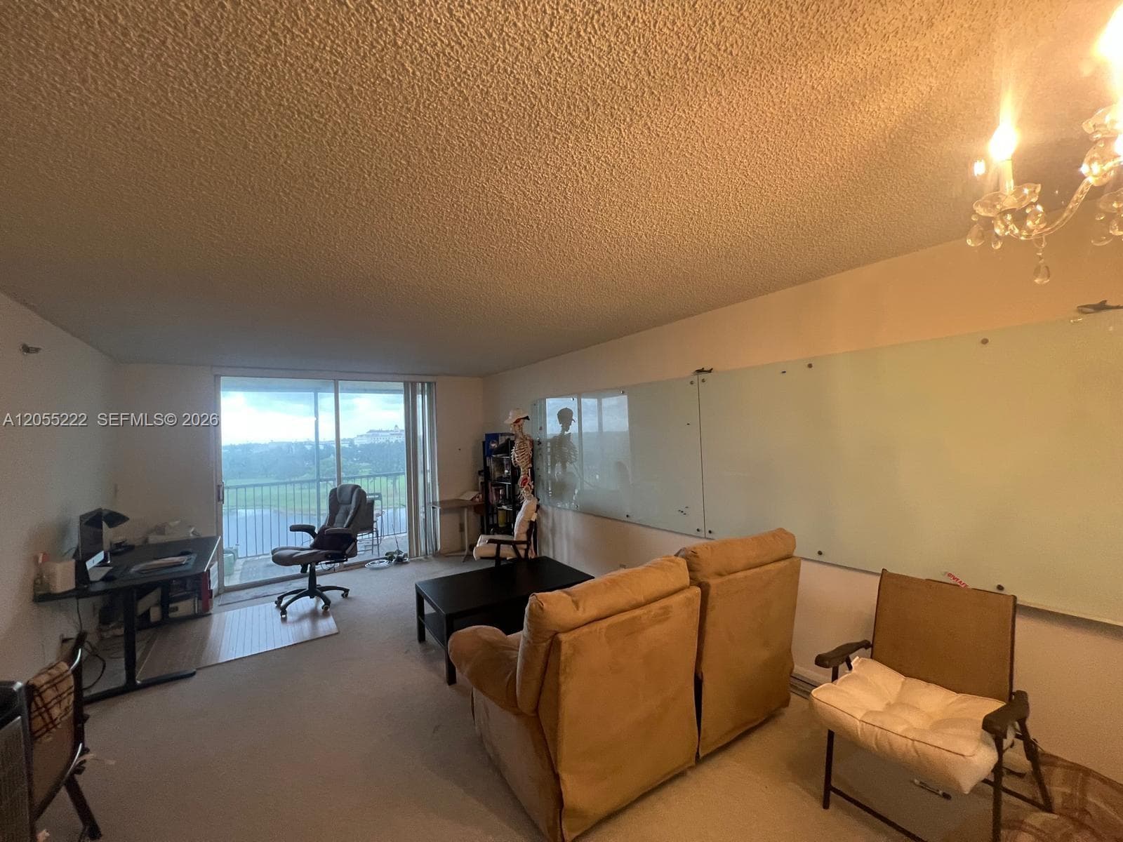 3100 W Rolling Hills Cir # 709, Davie, FL 33328