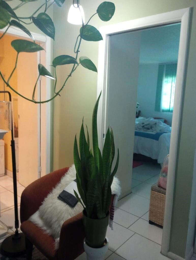 1250 E SAMPLE Road # 307, Pompano Beach, FL 33064 — zdjęcie 2