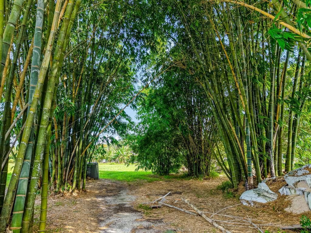 6250 SW 180TH Terrace, Southwest Ranches, FL 33331 — zdjęcie 4