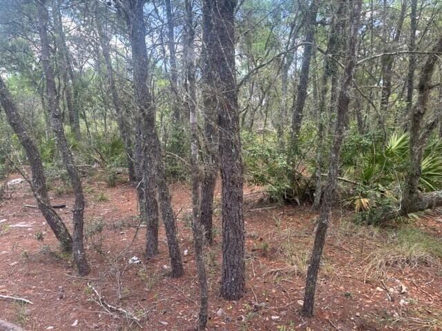 0 Us Hwy 27, Lake Wales, FL 33859 — zdjęcie 2