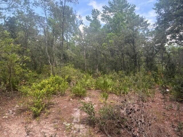 0 Us Hwy 27, Lake Wales, FL 33859 — zdjęcie 3