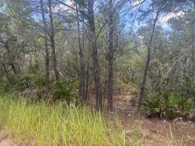 0 Us Hwy 27, Lake Wales, FL 33859