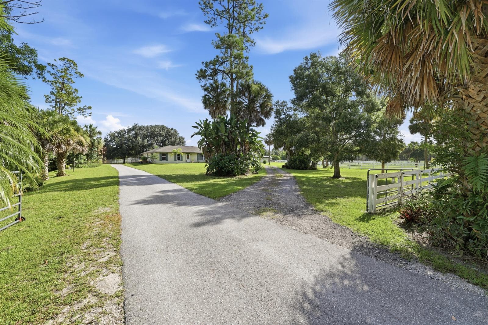 14095 BIDDEX Road, FL 33470 — zdjęcie 4