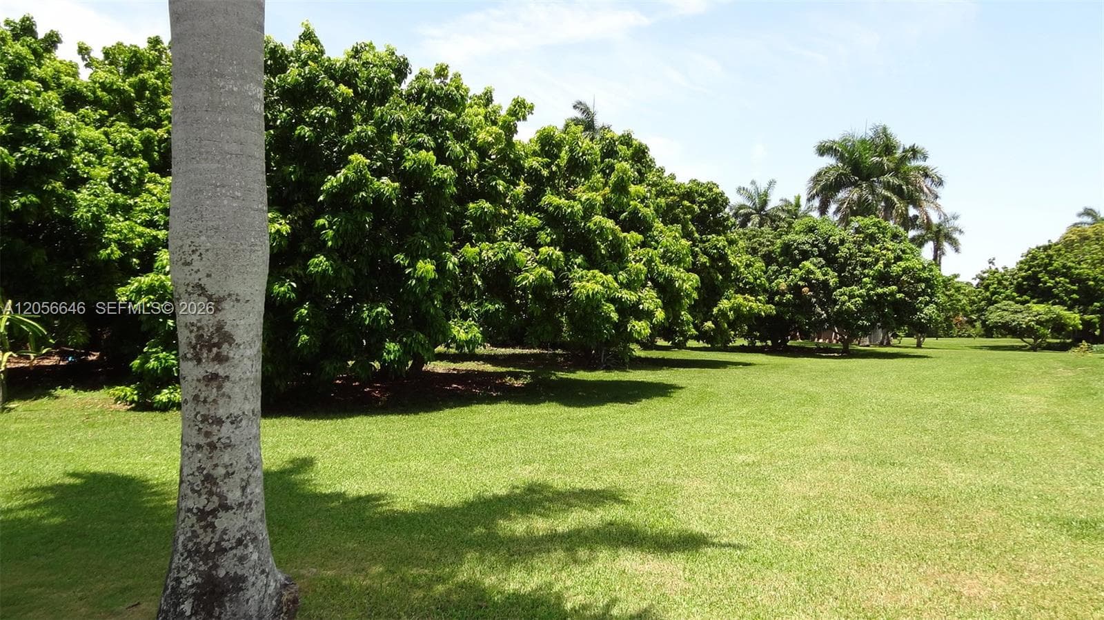 4 Av NE 152 St, Biscayne Gardens, FL 33162 — zdjęcie 2