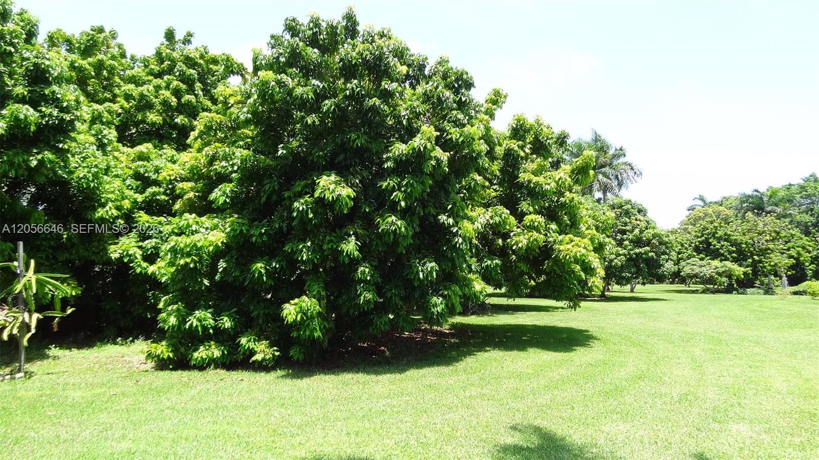 4 Av NE 152 St, Biscayne Gardens, FL 33162 — zdjęcie 3