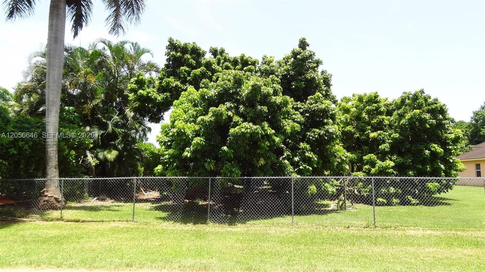 4 Av NE 152 St, Biscayne Gardens, FL 33162 — zdjęcie 5