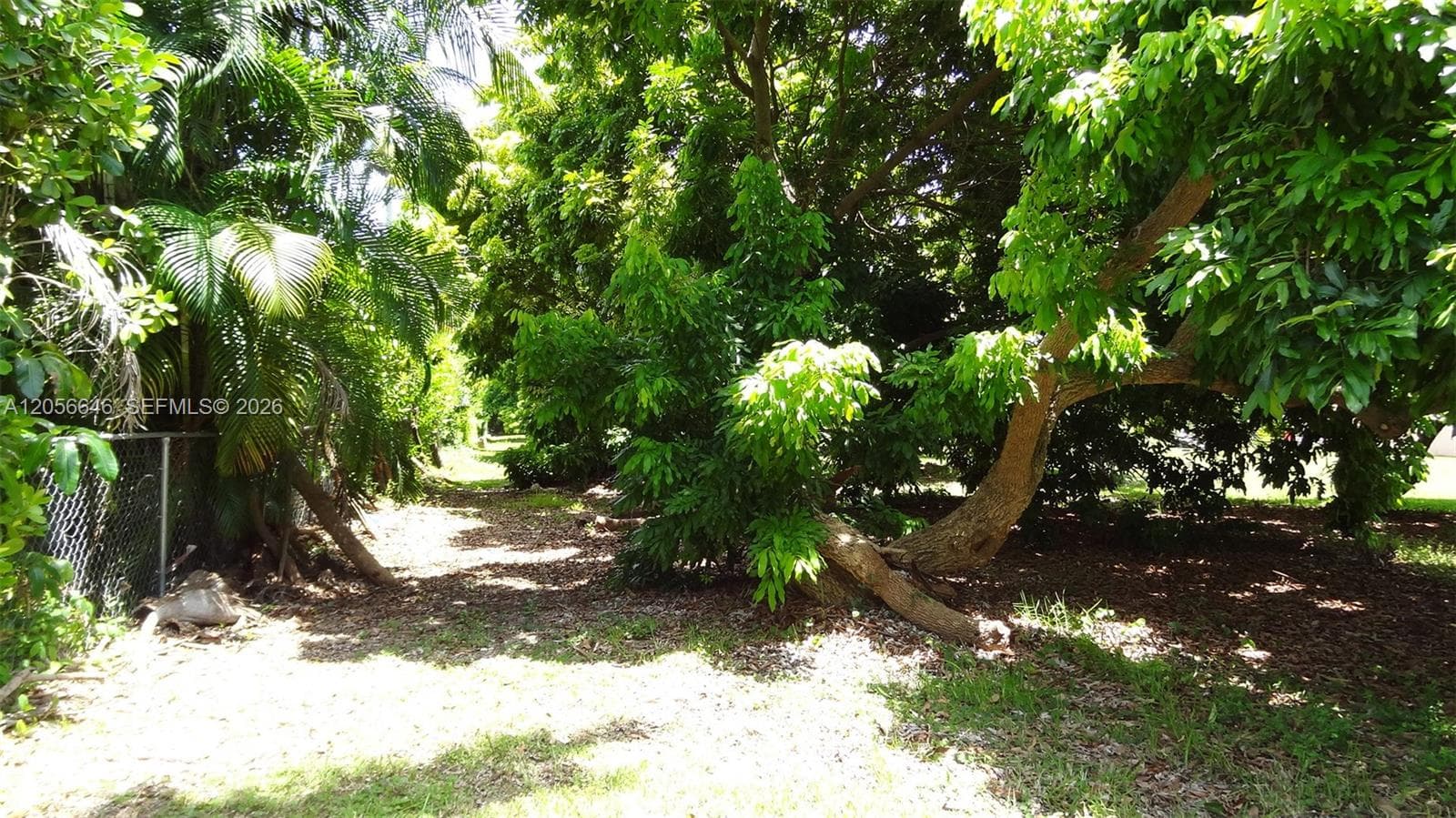 4 Av NE 152 St, Biscayne Gardens, FL 33162 — zdjęcie 4