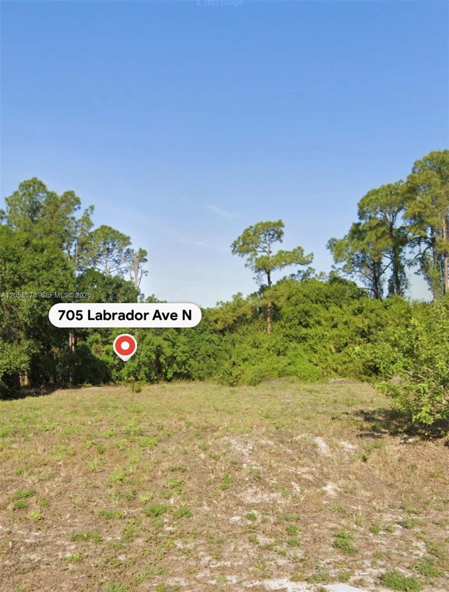 705 LABRADOR AVE N, Lehigh Acres, FL 33971