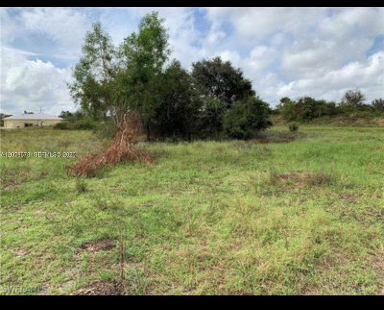 705 LABRADOR AVE N, Lehigh Acres, FL 33971 — zdjęcie 4