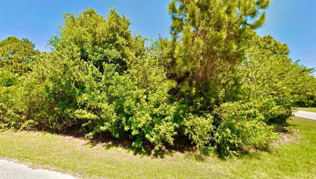 12142 Joyner Avenue, Port Charlotte, FL 33953 — zdjęcie 5