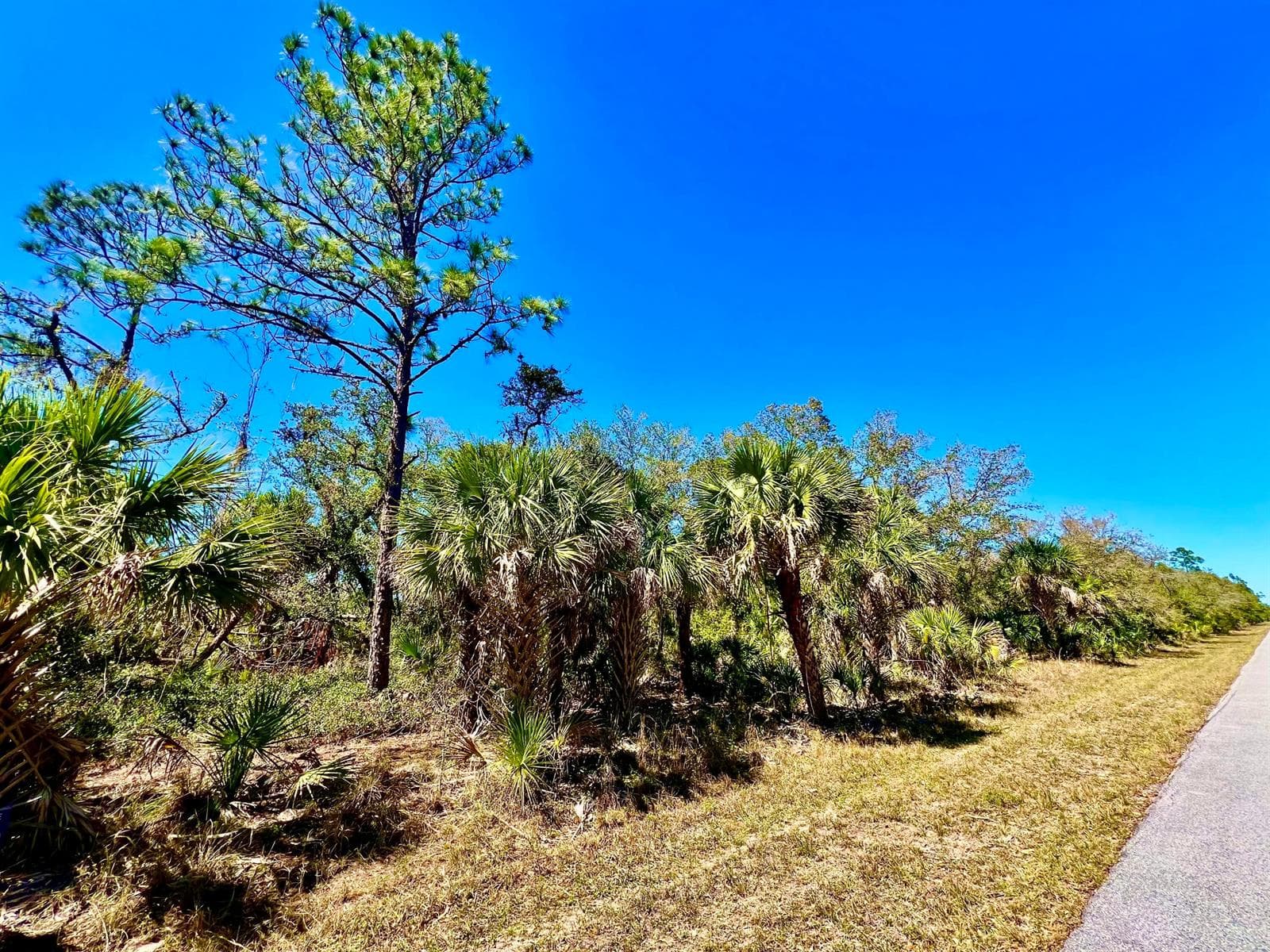441 Juper Street, Port Charlotte, FL 33953 — zdjęcie 2