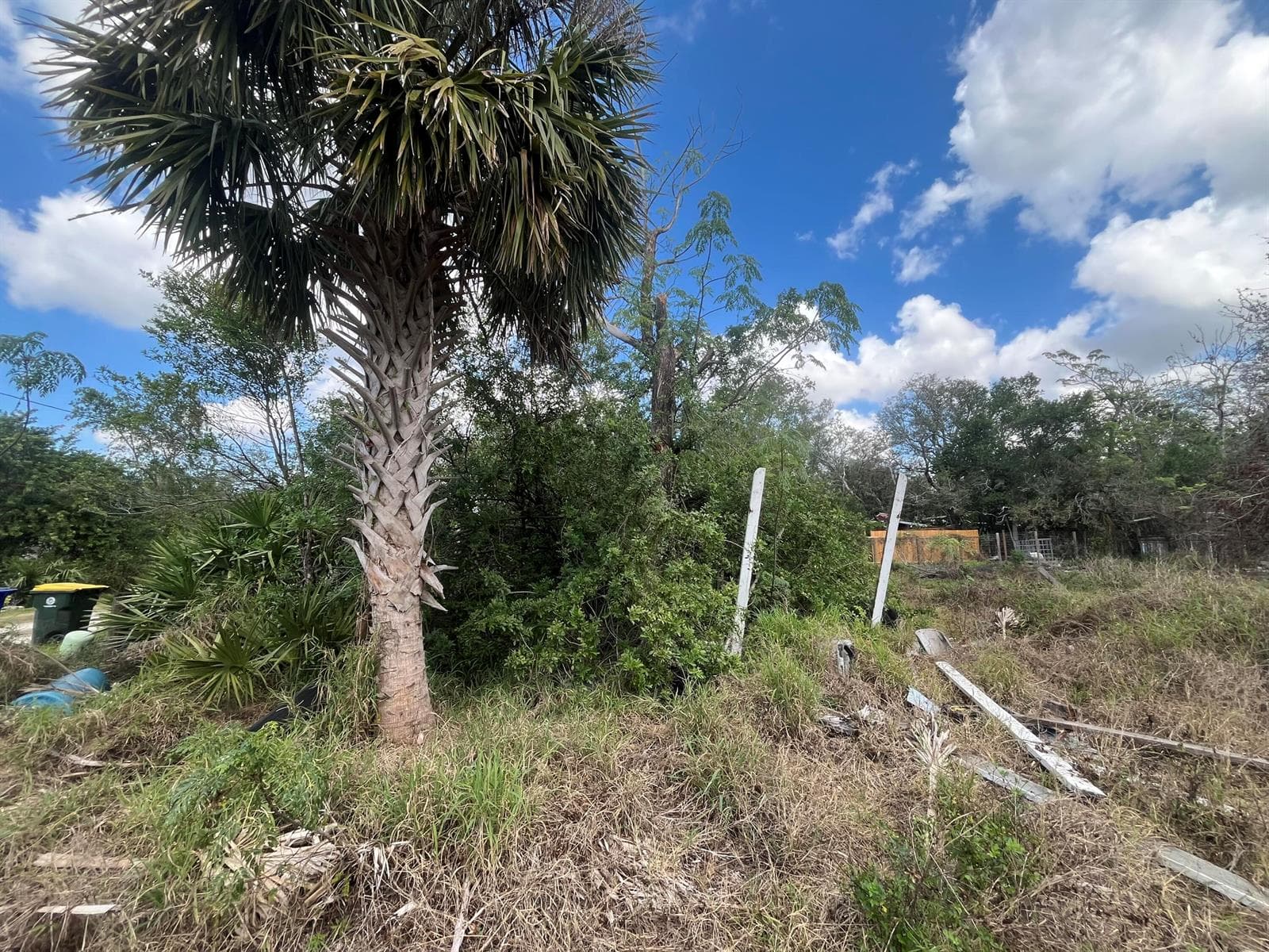 3608 Smithtown Road, Sebring, FL 33876 — zdjęcie 2