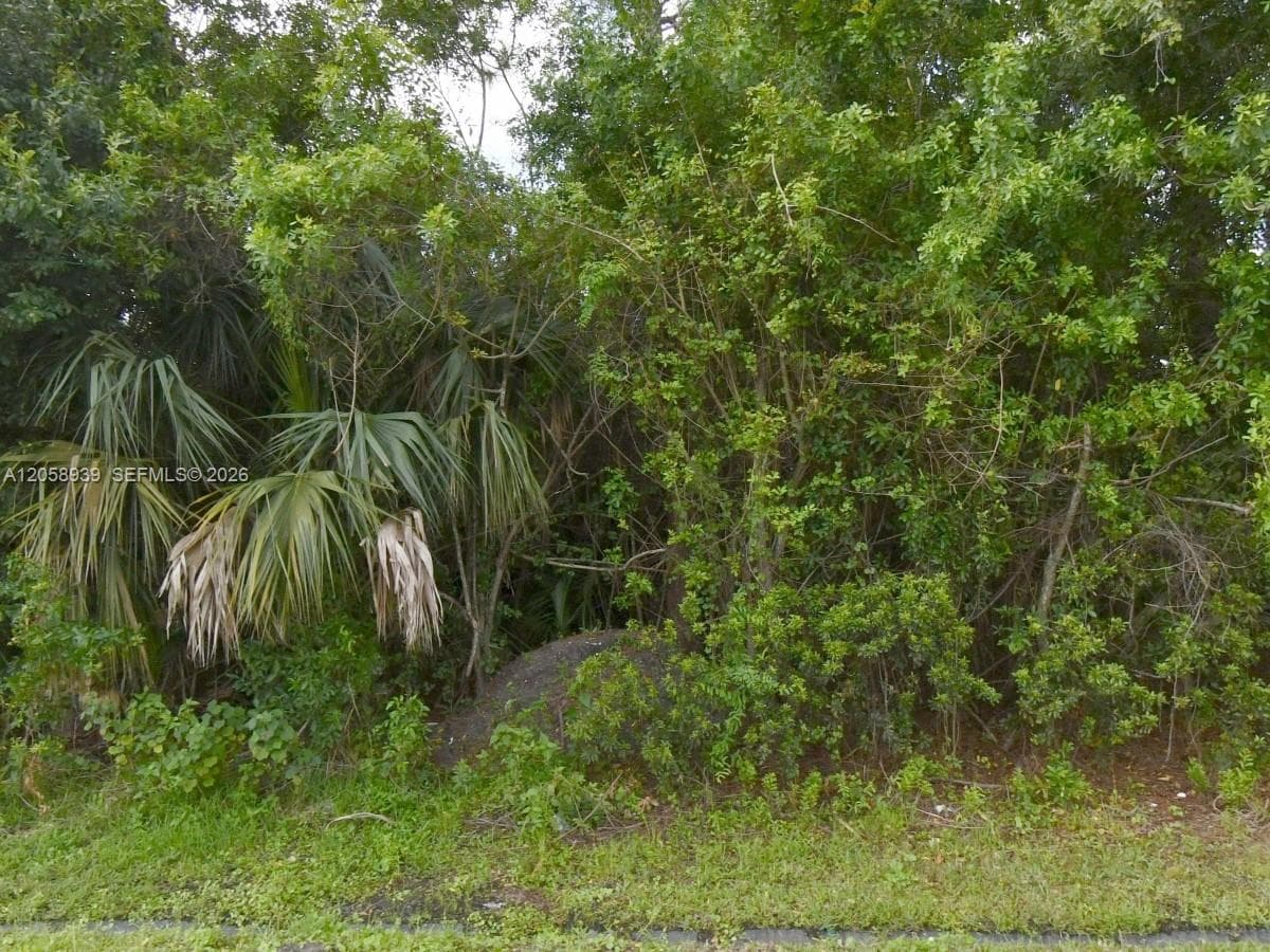 4537 Sw savona blvd, Port St. Lucie, FL 34953 — zdjęcie 2