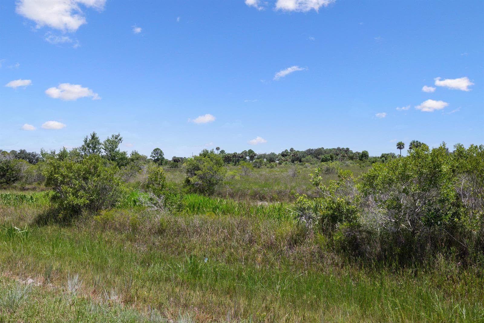 14932 NW 280TH Street, Okeechobee, FL 34972 — zdjęcie 2