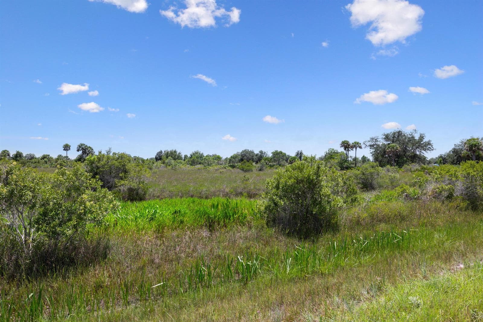 14932 NW 280TH Street, Okeechobee, FL 34972 — zdjęcie 5