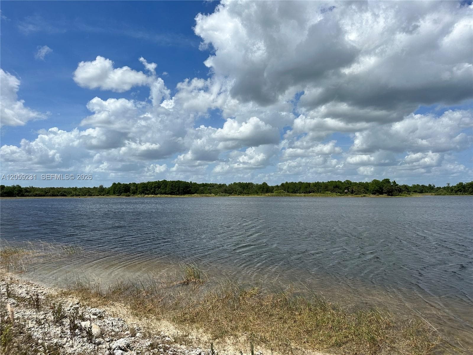 515 Shady hollow blvd W, Naples, FL 34120 — zdjęcie 3