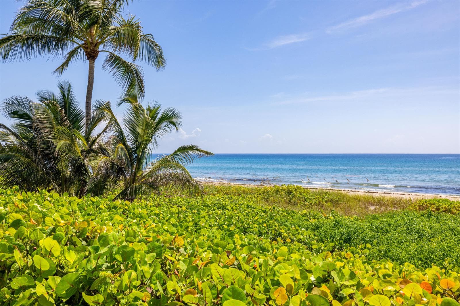 2565 S Ocean Boulevard # 103N, Highland Beach, FL 33487 — zdjęcie 3