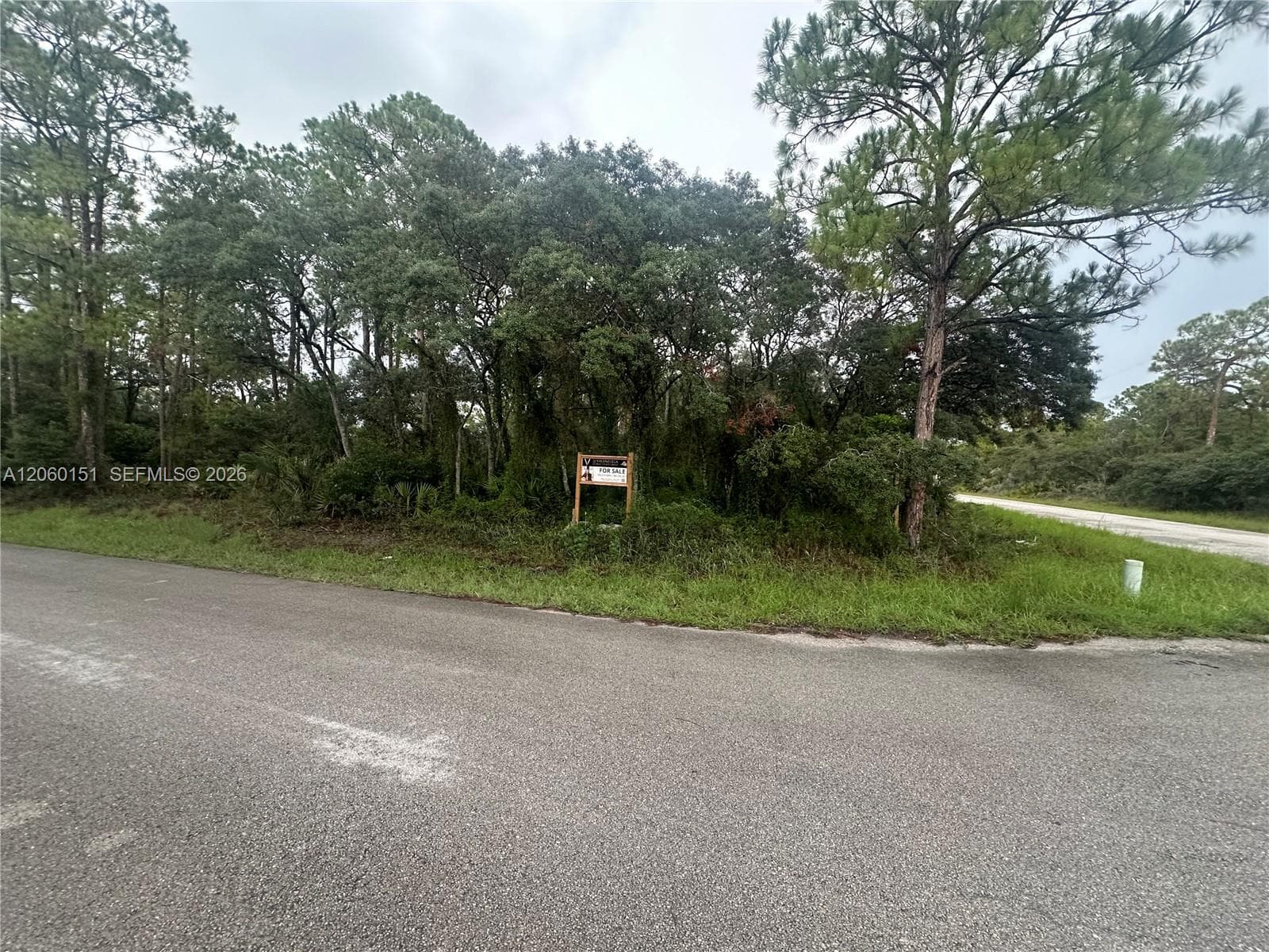 3362 Gossamer Ave, Lake Placid, FL 33852 — zdjęcie 3