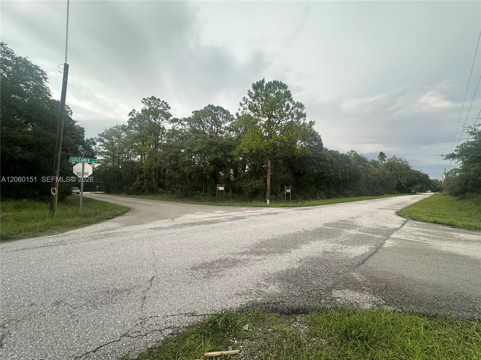 3362 Gossamer Ave, Lake Placid, FL 33852 — zdjęcie 5