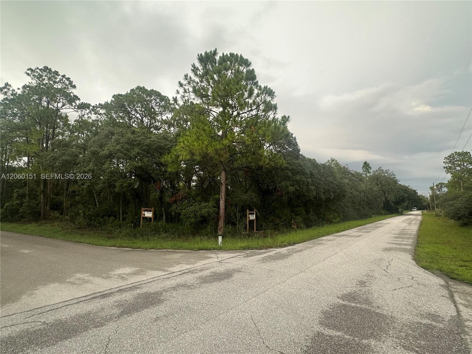 3362 Gossamer Ave, Lake Placid, FL 33852 — zdjęcie 4