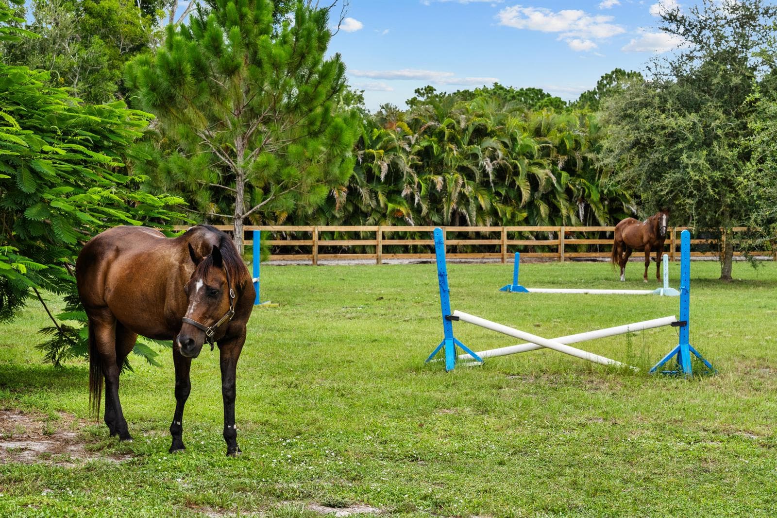 19925 Black Falcon Road, Loxahatchee, FL 33470 — zdjęcie 3