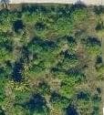 13074 71st Place N, FL 33412