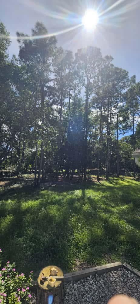 15941 MELLEN Lane, FL 33478 — zdjęcie 2