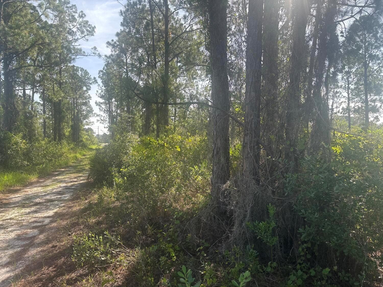 1021 Granger Street, Lake Placid, FL 33852 — zdjęcie 3