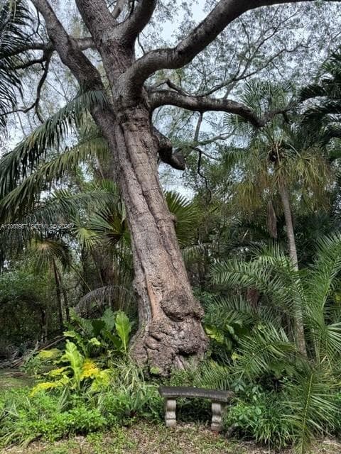 23805 SW 142nd Ave, Miami, FL 33032 — zdjęcie 3