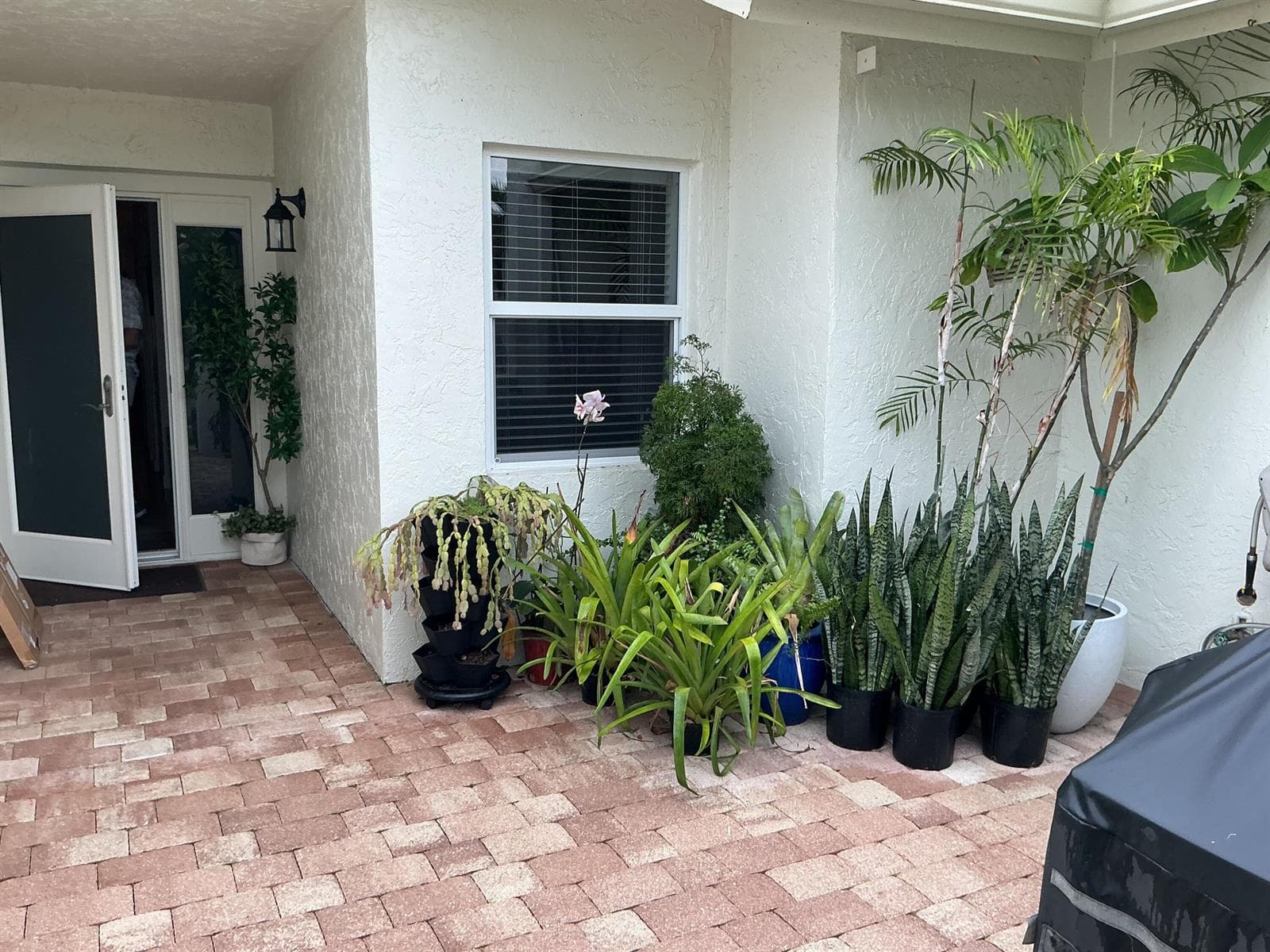6918 BARBAROSSA Street, Boca Raton, FL 33433 — zdjęcie 2
