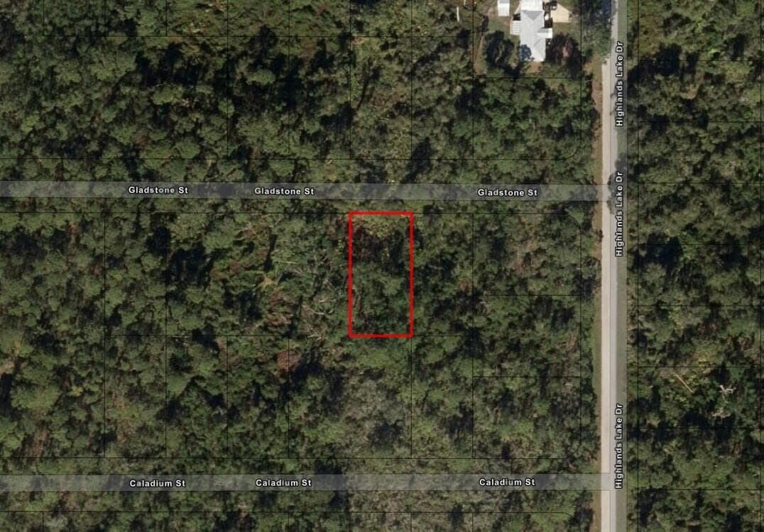 1521 Gladstone Street, Lake Placid, FL 33852