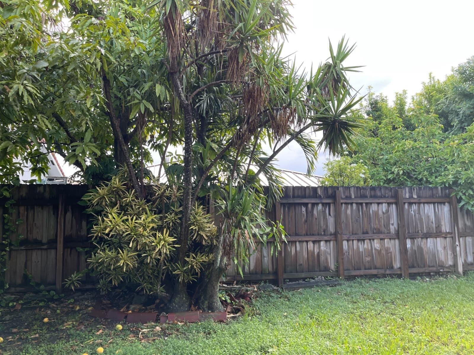 4874 SW 142nd Place, Miami, FL 33175 — zdjęcie 5