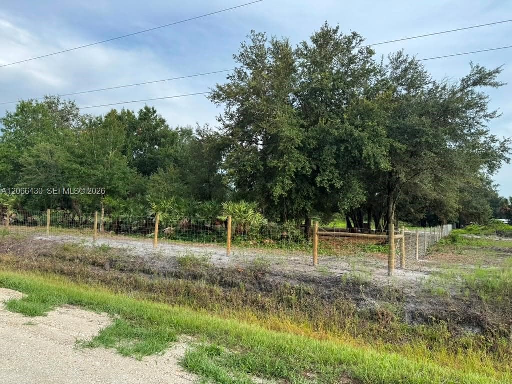 17070 NW 276th St, Okeechobee, FL 34972 — zdjęcie 4