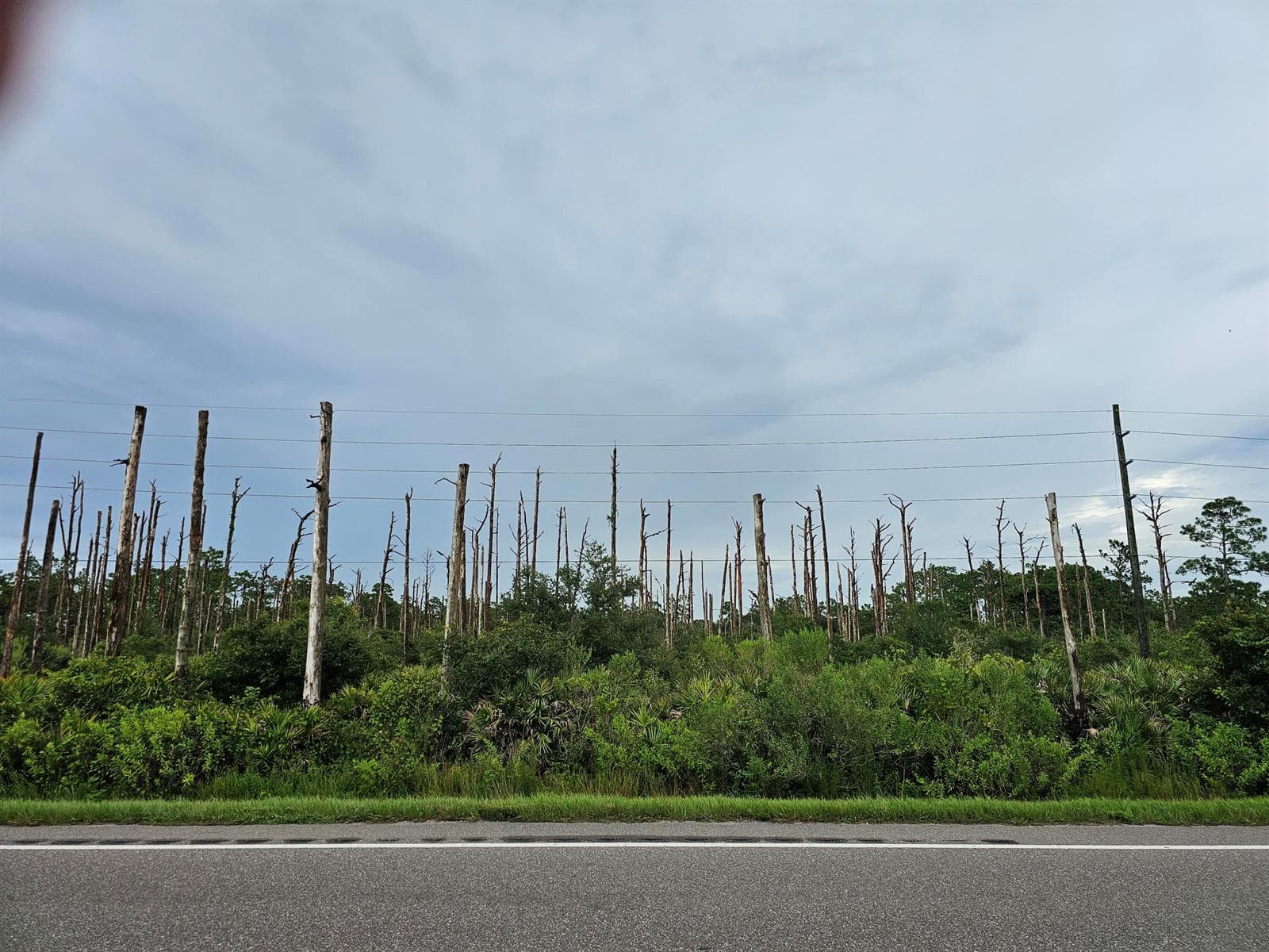 34964 HWY 441, Okeechobee, FL 34972 — zdjęcie 5